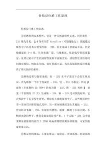 釷核反應(yīng)堆工作原理