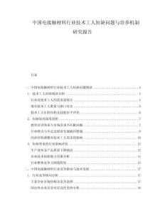 中國電接觸材料行業技術工人短缺問題與培養機制研究報告