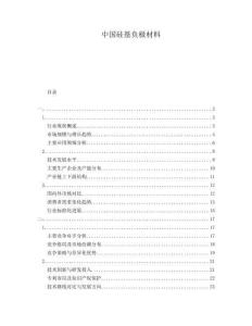 中国硅基负极材料