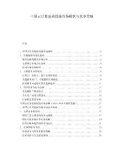 中国云计算基础设施市场现状与竞争策略