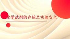 化學(xué)試劑的存放及實(shí)驗安全ppt教案