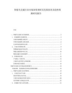 智能鳥(niǎo)交通行業(yè)市場(chǎng)深度調(diào)研及發(fā)展前景及趨勢(shì)預(yù)測(cè)研究報(bào)告