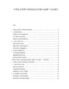 中國(guó)電子特種氣體純化技術(shù)突破與晶圓廠認(rèn)證報(bào)告