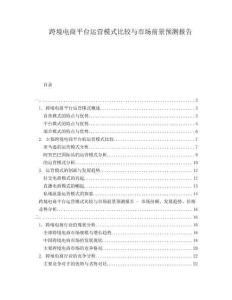 跨境電商平臺運營模式比較與市場前景預(yù)測報告