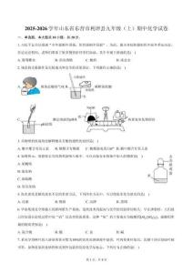 2025-2026學(xué)年山東省東營(yíng)市利津縣九年級(jí)（上）期中化學(xué)試卷（含答案）