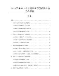 2025及未來5年雙通帶線項(xiàng)目投資價(jià)值分析報(bào)告