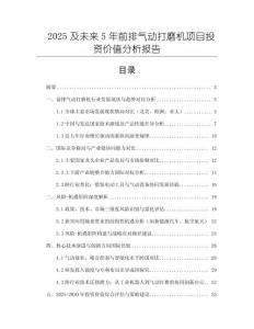 2025及未來5年前排氣動(dòng)打磨機(jī)項(xiàng)目投資價(jià)值分析報(bào)告