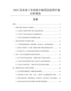 2025及未來(lái)5年純鐵中板項(xiàng)目投資價(jià)值分析報(bào)告