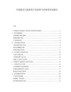 中國新式氣泡茶飲產(chǎn)品矩陣與價格帶布局報告