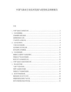 中國氣泡水行業(yè)技術(shù)發(fā)展與投資機會洞察報告