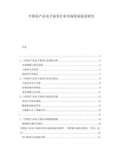 中国农产品电子商务行业市场发展前景研究