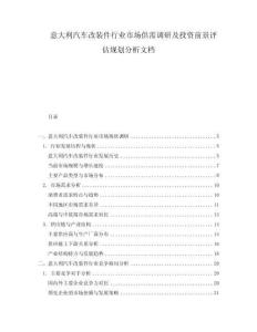意大利汽車改裝件行業市場供需調研及投資前景評估規劃分析文檔