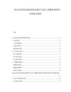 武汉文档经济制约现状诊断审计收入奖酬发展管理审批研究课件