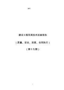 建設工程技術巡查報告模版
