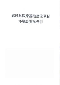 武勝縣醫(yī)療基地建設(shè)項(xiàng)目報(bào)告書