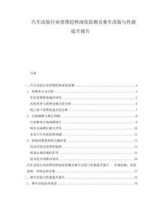 汽車改裝行業(yè)消費(fèi)趨勢深度監(jiān)測及賽車改裝與性能提升報告