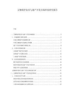 文物保護技術(shù)與遺產(chǎn)開發(fā)市場價值研究報告