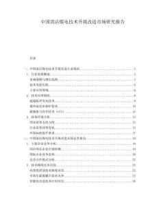 中國清潔煤電技術升級改造市場研究報告