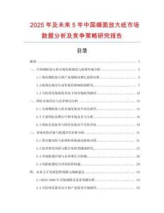 2025年及未來5年中國綢面放大紙市場數(shù)據(jù)分析及競爭策略研究報告