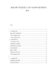 潼南川酒產業發展重大工程產品品牌聲場升級研究報告