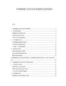 中國碳捕集與封存技術發展路徑及投資報告