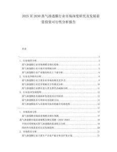 2025至2030蒸气渗透膜行业市场深度研究及发展前景投资可行性分析报告