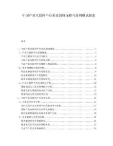 中國產業(yè)互聯(lián)網平臺垂直領域深耕與盈利模式探索