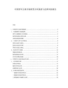 中国青年公寓市场租赁合同条款与法律风险报告