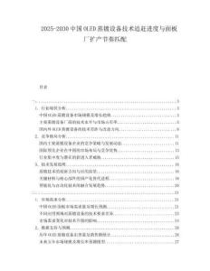 2025-2030中国OLED蒸镀设备技术追赶进度与面板厂扩产节奏匹配
