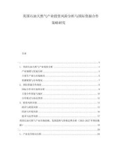 英国石油天然气产业投资风险分析与国际资源合作策略研究