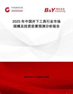 2025年中国井下工具行业市场规模及投资前景预测分析报告