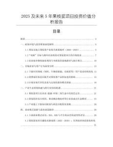 2025及未來5年果枝漿項目投資價值分析報告