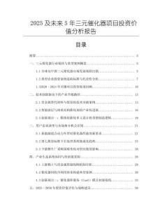 2025及未來5年三元催化器項(xiàng)目投資價(jià)值分析報(bào)告