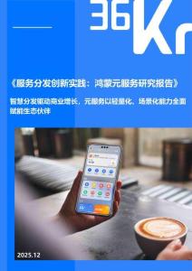 2025服務(wù)分發(fā)創(chuàng)新實(shí)踐：鴻蒙元服務(wù)研究報(bào)告