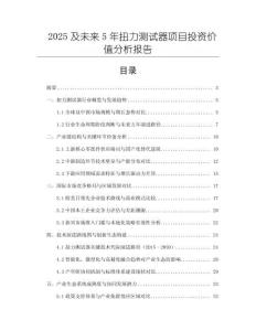 2025及未來5年扭力測試器項目投資價值分析報告