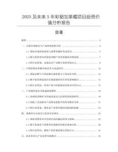 2025及未來5年彩貂加革帽項目投資價值分析報告