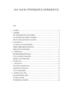 2025-2030地下管網智能巡檢無人機搭載系統開發
