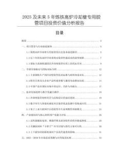 2025及未來5年煉鐵高爐冷卻壁專用膠管項(xiàng)目投資價(jià)值分析報(bào)告