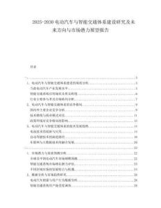 2025-2030電動汽車與智能交通體系建設研究及未來方向與市場潛力展望報告