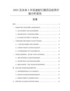 2025及未來(lái)5年低速射釘器項(xiàng)目投資價(jià)值分析報(bào)告