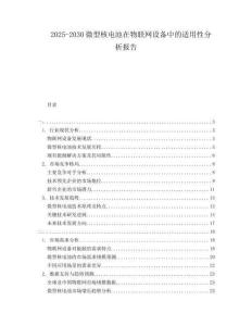 2025-2030微型核电池在物联网设备中的适用性分析报告