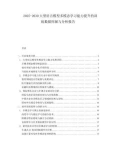 2025-2030大型語言模型多模態學習能力提升的訓練數據挖掘與分析報告