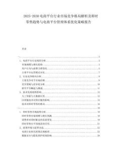 2025-2030电商平台行业市场竞争格局解析及即时零售趋势与电商平台管理体系优化策略报告