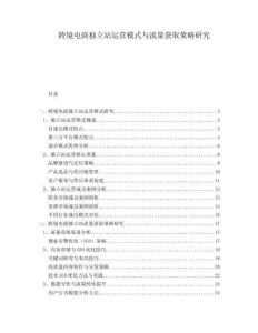 跨境电商独立站运营模式与流量获取策略研究