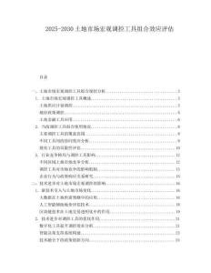 2025-2030土地市场宏观调控工具组合效应评估