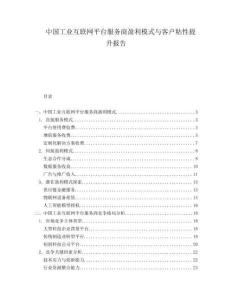 中國工業互聯網平臺服務商盈利模式與客戶粘性提升報告