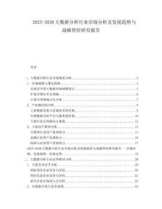 2025-2030大數(shù)據(jù)分析行業(yè)市場分析及發(fā)展趨勢與戰(zhàn)略管控研究報告