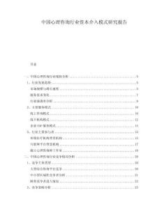 中國(guó)心理咨詢行業(yè)資本介入模式研究報(bào)告