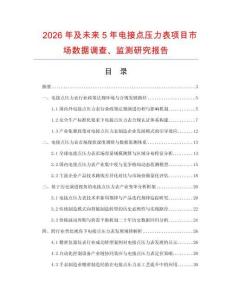 2026年及未來5年電接點壓力表項目市場數據調查、監測研究報告