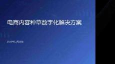 2025年電商內(nèi)容種草數(shù)字化解決方案-